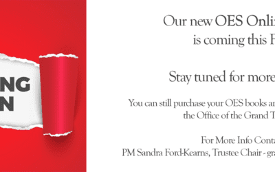 The New Online OES Store